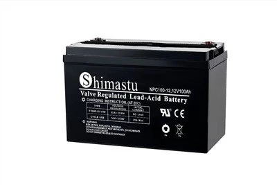 12V100Ah VRLA Deep Cycle Battery