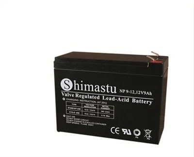 12V 9Ah Battery Rechargeable
