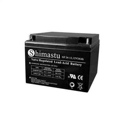 Electric Scooter Lead Acid Battery
