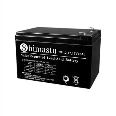12V 12AH SLA